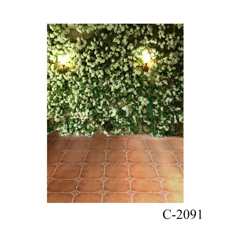 C-2091