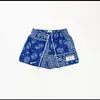 Pantalones Cortos de Estilo Americano con Pintura al Óleo, de Malla, para Hombres y Mujeres, de Longitud hasta la Rodilla, para Entrenamiento de Baloncesto en Verano, Disponibles en Stock Transfronterizo