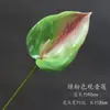 Flor Verde Jardim Monet Decoração Flores de Casamento Materiais Grama Aspargo Plantas Verdes Arranjo de Exibição Estilo Floresta Decoração de Casamento