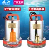 Bomba sumergible DC para pozo agrícola doméstico 12v bomba de agua 48V60V batería coche eléctrico coche pequeño bomba para lavado de autos