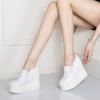 Zapatos Casuales de Tacón Super Alto de 12cm para Mujer 2019 Otoño Nuevo Suela Gruesa Aumento de Altura Boca Profunda Zapatos de Una Capa