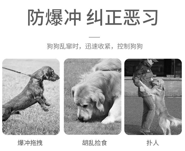 牵引绳详情页_03