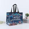 Bolsa No Tejida Recubierta Transfronteriza Bolso de Mano Navideño Embalaje de Ropa Personalizado Bolso de Compras Plegable Estéreo