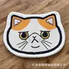 Alfombra Decorativa de Imitación Cachemir de Gatito Lindo para el Hogar, Sala de Estar, Baño, Alfombrilla Antideslizante Absorbente de Agua, Alfombrilla para Pies Amigable con la Piel, Manta para la Mesita de Noche del Dormitorio