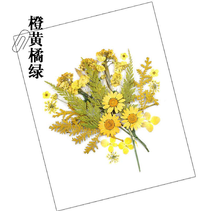 干花材料包-橙黄橘绿.jpg