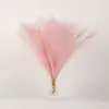 Flores Secas de Capim dos Pampas de Haste Longa Transfronteiriças, Capim Reed para Decoração de Mesa de Jantar em Casa, Decoração de Local de Casamento, Folhagem Artificial