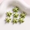 Pendientes y pulseras de estilo dulce y fresco que combinan con todo, color sólido, perforados, turquesa blanca, estrella de mar, bricolaje, accesorios de joyería al por mayor