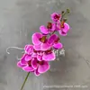 Nueva Flor de Orquídea Phalaenopsis de Película Impresa en 3D de 9 Cabezas Flor Artificial de Tacto Realista Arreglo Floral para Boda Hogar Habitación Nupcial Tela