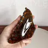 Presilha de Cabelo Acetato Estilo Ins para Mulheres, Adequada para Primavera e Verão, Grampo Elegante para Penteados Presos na Nuca, Presilha Tubarão Estilosa com Laço