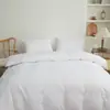 Juego de Sábanas de Color Sólido Europeo y Americano de Amazon de Cuatro Piezas, Protector de Sábana Transfronterizo, Sábana Lavable Individual