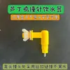 Fuente de Agua para Pájaros Taza de Agua para Pájaros Hervidor para Pollos Luding Dispensador Automático de Agua para Mascotas Hibisco Pájaro Loro Pollito Bebedero