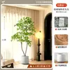 2026 Planta Verde Artificial Nandina Planta em Vaso Alto Padrão Luxo Leve Decorativa para Chão de Sala de Estar Flor Árvore Artificial Grande