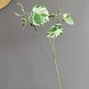 Material de Hoja de Planta Simulada Hoja de Tortuga de 2 puntas Suministro del Extranjero Decoración Mayorista para Diseño de Boda Sala Modelo Hogar Escandinavo