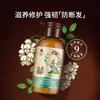 Shampoo Anticaída Flor de Abeja Nueve Botellas Fortalecedor Relleno de Cabello, Esponjoso y Fuerte Antirotura Esencia Calmante Set de Champú