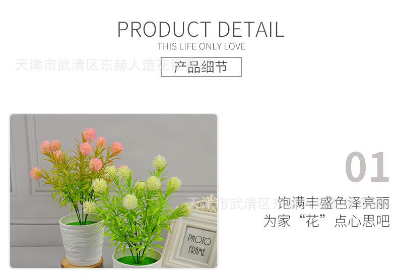 详情_06.jpg