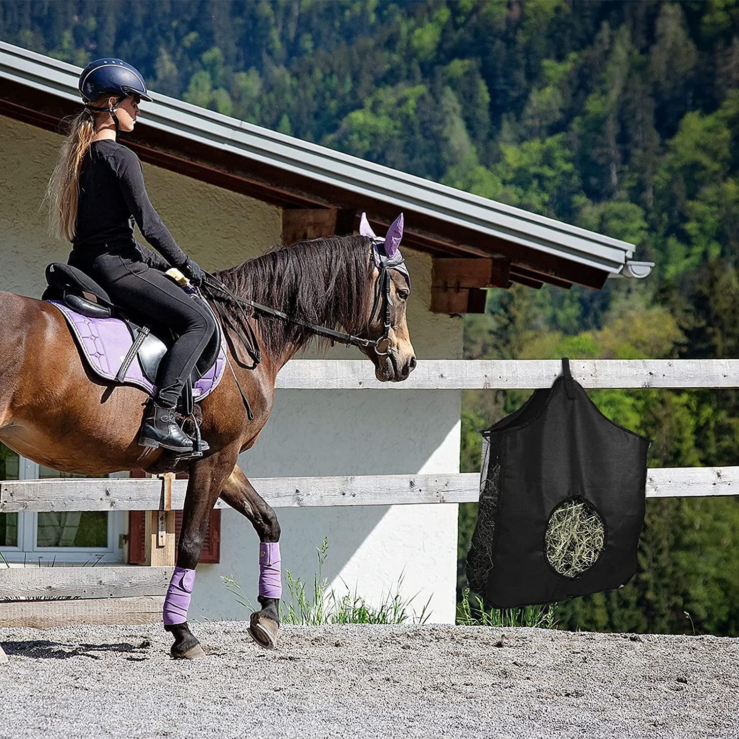 81eJzSo4N7S._AC_SL1500_