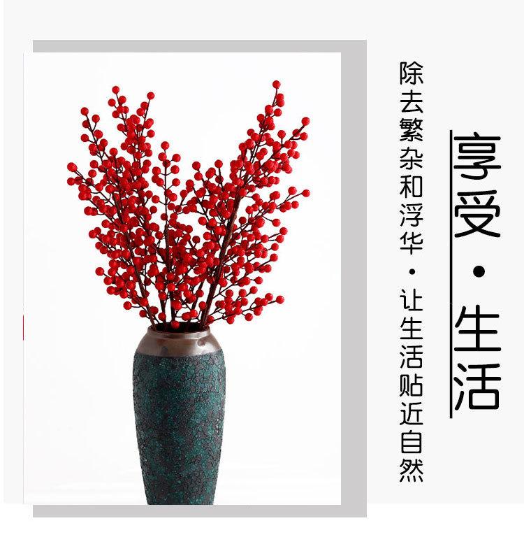 发财果红果_08.jpg