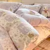 Conjunto de quatro peças em flanela de algodão cartoon, capa de edredom quente de algodão puro para outono e inverno, conjunto de três peças com lençol de elástico e lençol de cama em veludo de leite, roupa de cama
