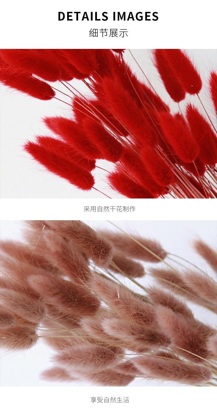 中文1688_10