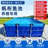 Estanque de Peces de Lona con Tubería Galvanizada y Marco de Acero, Plegable y Portátil para Uso Doméstico, Baño al Aire Libre y Piscina