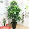 Qin Ye Rong Planta Fotográfica en Maceta Hotel Planta Verde Falsa Biónica Decoración de Sala de Estar Árbol Falso de Pie Flor Falsa Puerta