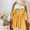 Vestido de niña lima, primavera y otoño, nuevo estilo coreano, vestido de princesa de manga larga y longitud media para niña, vestido infantil de estilo occidental