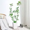 Planta Grande de Madera Pata de Pato en Maceta para Interior para Purificación del Aire, Adecuada para Dormitorio y Sala de Estar, Perenne Todo el Año, Planta Verde de Moda