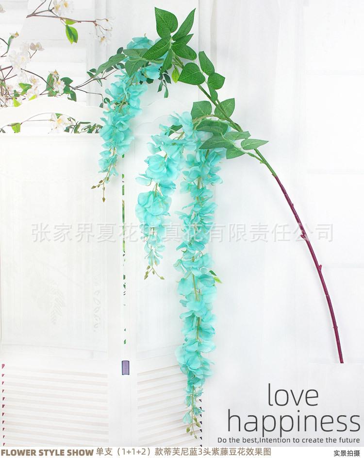 3头豆花紫藤_14.jpg