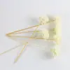 Botella de Aromaterapia Transparente de 100 ml con Fondo Ancho, Difusor de Flores Secas sin Llama para el Hogar, Botella de Vidrio Vacía