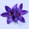 Pinza para el Cabello de Orquídea Cymbidium Marfil Simulada Pinza Lateral Novia Dama de Honor Accesorio para el Cabello de Boda Vacaciones en la Playa Viaje Tocados para Fotos