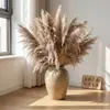 Hierba de Pampa Seca Producto de Venta Caliente Transfronterizo de Amazon Estilo Europeo y Americano Decoración del Hogar Al por Mayor con Semillas Pampas