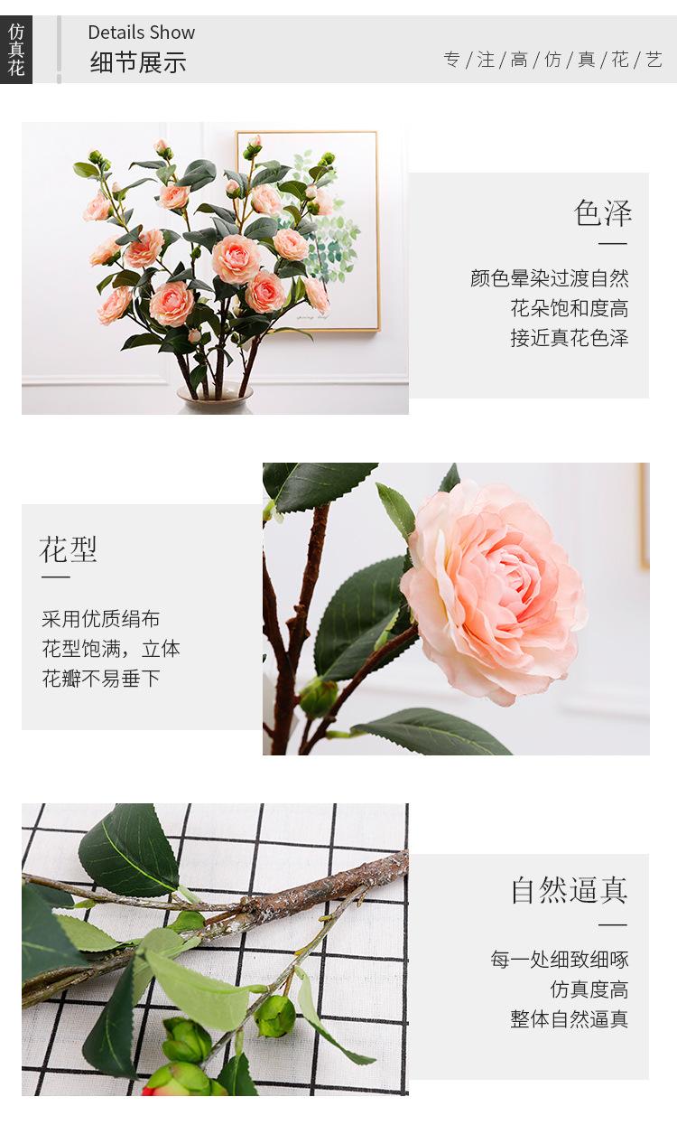 单支茶花_05.jpg