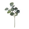 Simulación Planta Verde Hojas de Eucalipto Arreglos Florales Hojas Decorativas Flores Artificiales Decoración para el Hogar Hojas de Manzana Mori Hojas de Eucalipto de Simulación