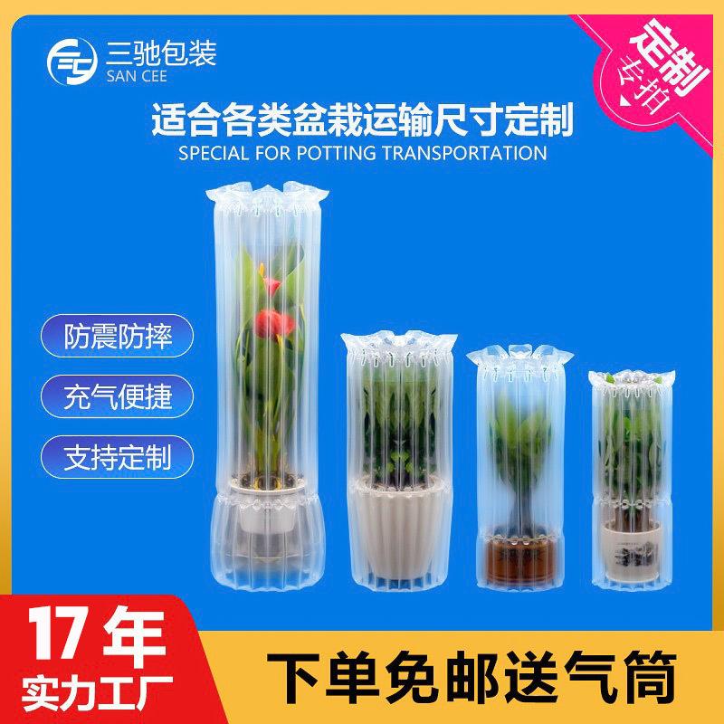 盆栽气柱袋.jpg