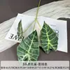 Folha simulada material taro pavão preto modelo de casa design de casamento arranjo de flores atacado uma geração de cabelo