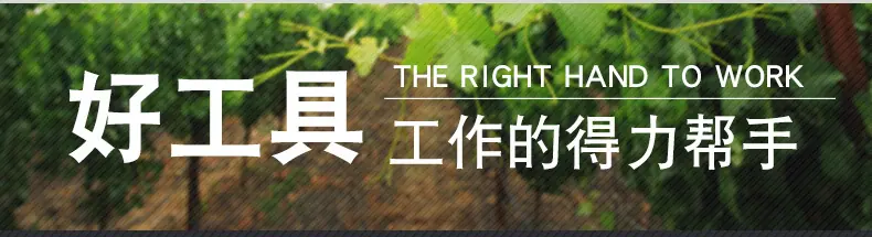 详情页_11.jpg
