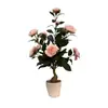 Planta en Maceta de Árbol de Camelia Simulada, Árbol de Camelia Falso, Decoración de Mesa para Sala de Estar, Planta Artificial Verde de Camelia en Maceta, Flores Secas Disponibles para Venta al por Mayor