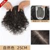 Peruca Feminina de Cobertura de Cabelo Simulado Brancos Volume Franja Cheia Peruca Leve e Fina Cabelo Cacheado Natural Reposição