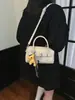 Bolsa Pequena de Mão com Padrão Lichia Simples Primavera Verão Feminina 2026 Nova Moda Bolsa Transversal Couro Macio de Alta Qualidade Bolsa Almofada