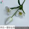 Tulipa Flor de Três Pétalas Duas Folhas Tulipa Florindo Cinco Flores Decoração de Sala de Estar em Casa Flor Artificial Flor de Casamento Obra de Arte Flor de Seda