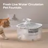 Fonte de Água Automática para Pets, Alimentada por USB Super Silenciosa com Filtro Circulante Dispensador de Água para Gatos Pequenos Animais