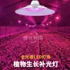 Luz Suplementaria LED para Plantas Invernadero Verdura Fresa Suculenta Luz Solar Simulada de Interior Luz Suplementaria para Verduras de Interior