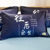 Funda de Almohada Cepillada de Anime de Dibujos Animados Doble Individual para Dormitorio de Estudiante 48X74cm Disparo en Pareja 2 Dropshipping