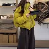 Nueva Chaqueta Corta de Algodón Acolchado Estilo Coreano para Mujer Otoño/Invierno 2026, Gruesa y de Corte Holgado, Cálida y Adecuada para el Trayecto al Trabajo