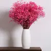 Flores de Gipsófila Secas, Flores Reales, Adornos Decorativos Naturales Secados al Aire para Sala de Estar, Decoración para el Hogar Nuevo, Ramo de Flores Preservadas de Lujo Ligero Moderno