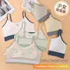 Período de Desarrollo de Chica Deportiva Juvenil Ropa Interior para Mujer Sujetador Push-Up Seamless para Pecho Pequeño Sin Aros Anticaída Ligero y Hermoso en la Espalda