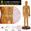 Modelo do Corpo Humano com Pontos de Acupuntura, Diagrama dos Doze Meridianos da Medicina Tradicional Chinesa do Corpo Inteiro, Modelo de Manequim de Cobre para Prática de Acupuntura, Pequeno Manequim de Pele