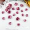 Explosões ao vivo Vermelho Fino Flores Brilhantes Nail Art Acessórios Luminoso Coringa Resina Camélia Nail Art Material Bag