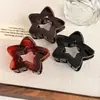 Presilha Pequena Estrela de Cinco Pontas Vazada para Mulheres, Penteado Alto de Rabo de Cavalo, Presilha Jacaré para Nuca, Mini Presilha de Meio Preensão, Acessório de Cabelo