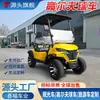 Carritos de golf de comercio exterior, vehículos turísticos para atracciones, vehículos de traslado para aeropuertos y hoteles, carritos de golf de 2 y 4 plazas